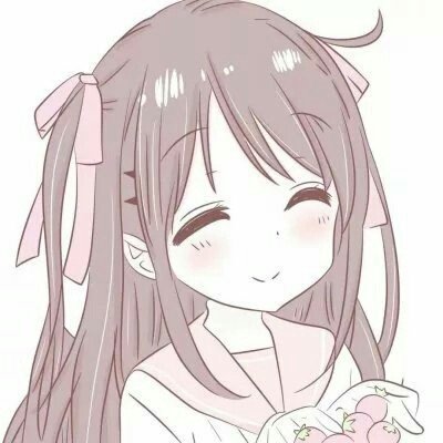 北京月季送你一路繁花